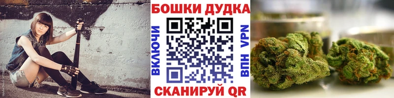 Конопля семена гидра вход Курчалой